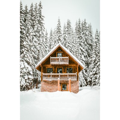 Tableau Mural Chalet HIVERNAL CEANOTHE