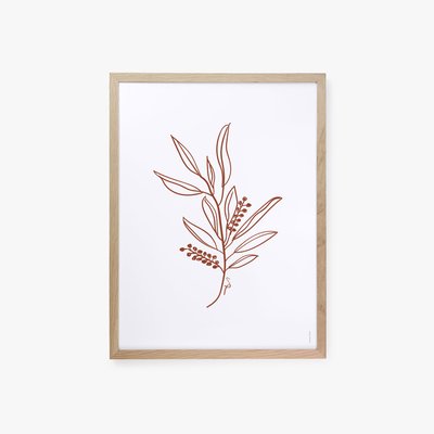 Naturae, affiche seule 30x40cm COTTON BIRD
