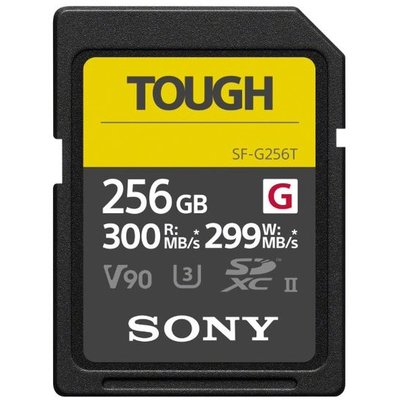 Cartes Memoire Sony Sfg 256 T - Sfg 256 T SONY