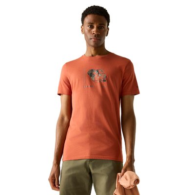 T-shirt motif/style montagne et courant BREEZED REGATTA