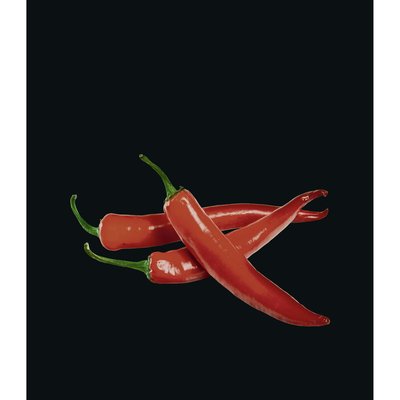 Fond De Hotte Peperoni WENKO