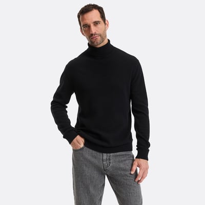 Cashmere Turtleneck Jumper LA REDOUTE COLLECTIONS