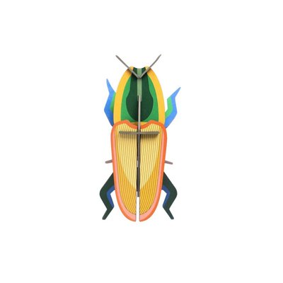 Insecte déco murale  scarabée de Madagascar STUDIO ROOF