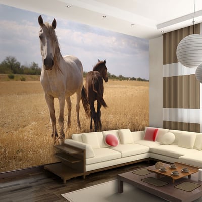 Papier peint intissé panoramique Animaux Cheval et poulain EDEN