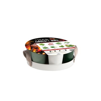 Plateau 7 Herbes Barbecue et Grillades FLOREX