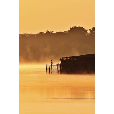 Tableau nature héron sur l'étang blanc HEXOA