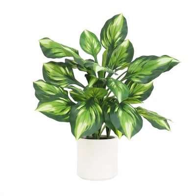 Dieffenbachia camilla artificiel toucher naturel 65cm LIGNE DECO