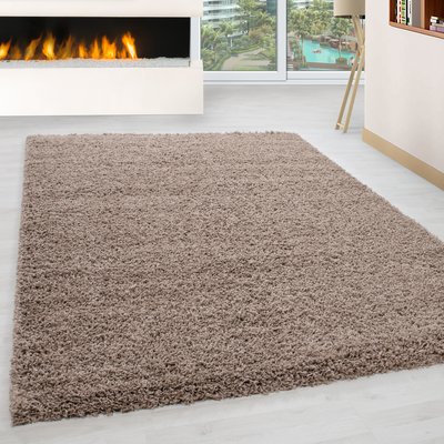 Tapis intérieur à poils longs OTTAWA NAZAR RUGS