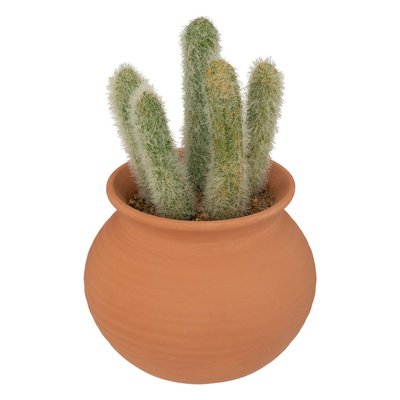 Cactus artificiel ATMOSPHERA