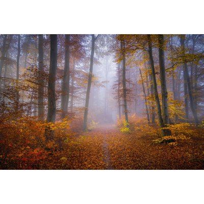 Tableau Chemin d'automne HEXOA
