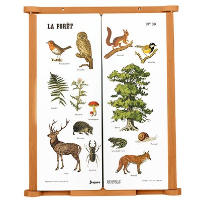 Tableau triptyque La Forêt JEUJURA