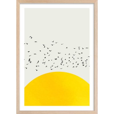 Affiche dessin ""1000 oiseaux"" HEXOA