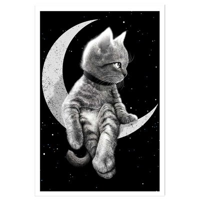 Affiche enfant chat rêveur HEXOA