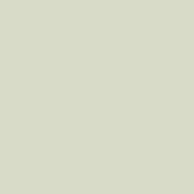 Active Emulsion Paint Silver Mint SANDERSON