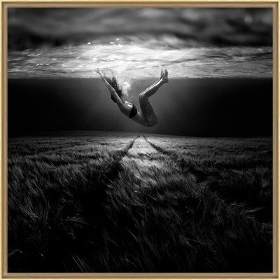 Tirage Encadré Sur Aluminium Underwaterlandream TIRAGE D'ART CEANOTHE