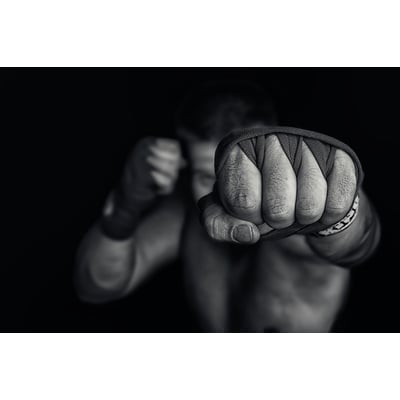 Tableau boxe left wing HEXOA