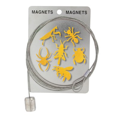 Câble porte photos et magnets  Magnetic Cable PYLONES
