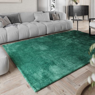 Tapis à poils longs doux pour salon ,  PISA HOMIE LIVING