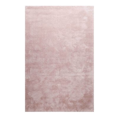 Tapis à poils longs doux pour salon ,  PISA HOMIE LIVING