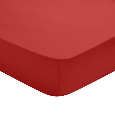 Drap Housse Studio Coton DODO