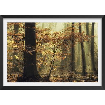 Affiche ""les feuilles d'automne"" HEXOA