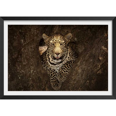 Affiche masai léopard HEXOA
