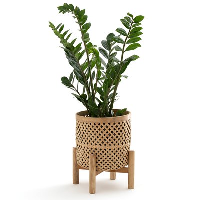 Übertopf Bambu mit Fuss, Bambus, Ø 26 cm LA REDOUTE INTERIEURS