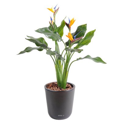 Strelizia arabica plastique H 50 cm 4 fleurs ARTIFICIELLES