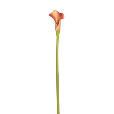 Tige d'arum artificielle H52 CALLA SIA