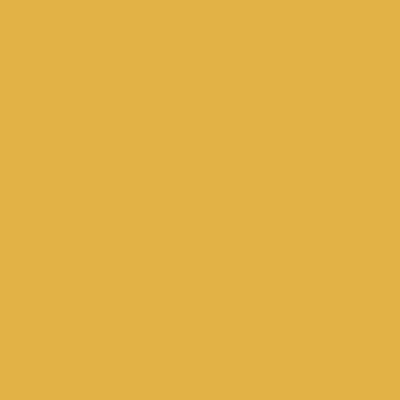 Active Emulsion Paint Papavera SANDERSON