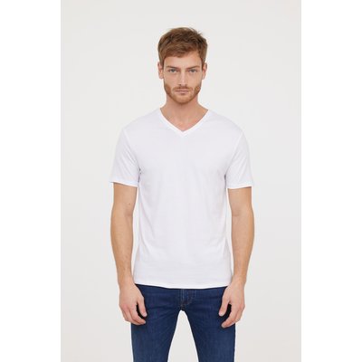 T-shirt manches courtes coton regular AJESSY LEE COOPER