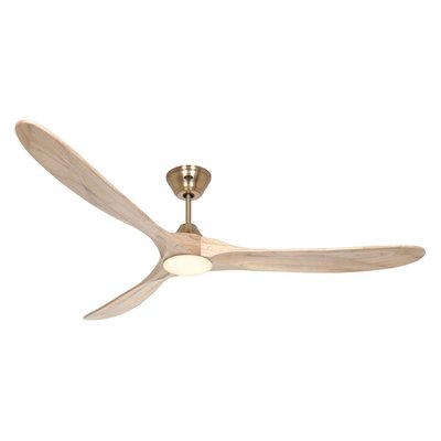 Ventilateur  Plafond  ECO GENUINO LED BOUTICA-DESIGN