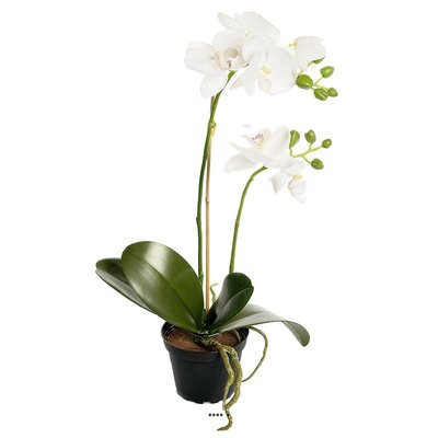 Orchidee artificielle 2 hampes en pot H 40 cm ARTIFICIELLES