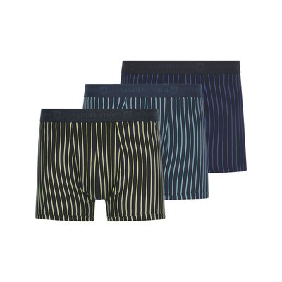 Lot de 3 boxers WIGMAR JAN VANDERSTORM