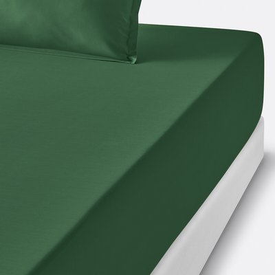 Drap housse enfant percale de coton, Scénario LA REDOUTE INTERIEURS