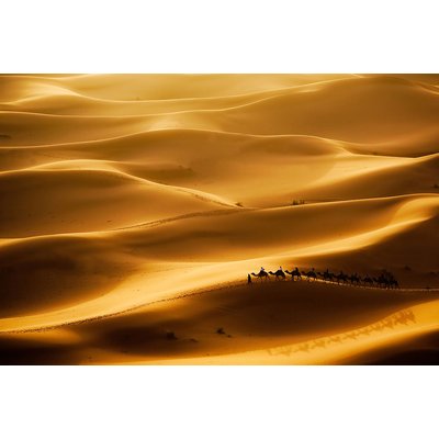 Tableau paysage le desert des nomades HEXOA