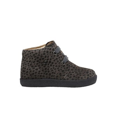 Falcotto 21 deals