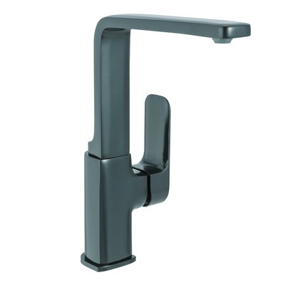 Robinet de cuisine Mat REMIX DELINIA