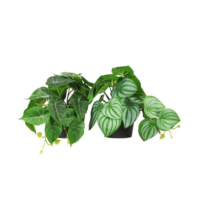 Plante artificielle tombante 18cm lot de 2 LIGNE DECO