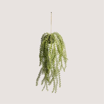Artificial Hanging Cactus Horsetail ÉDITÉ