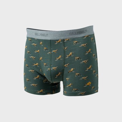 Boxer en coton biologique FANTAISIE BILLYBELT