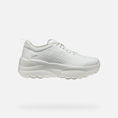 Baskets  D XTORS GEOX