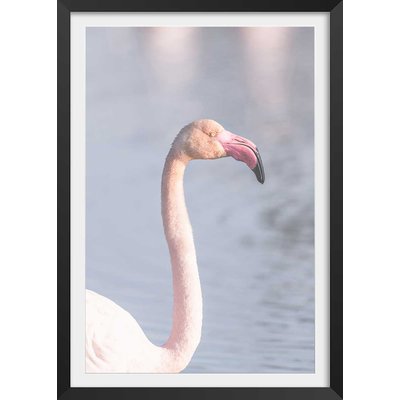 Affiche pastel pink flamingo HEXOA