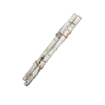 Branches de bouleau artificielles H30 SIA