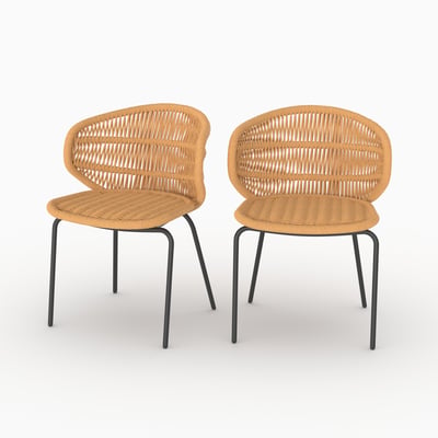 Lot de 2 chaises de jardin en rotin synthétique - LARA MAISON PAVANE
