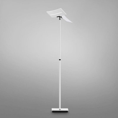 Lampadaire Led Evolo Blanc Intensité Variable Et Cct MILLUMINE