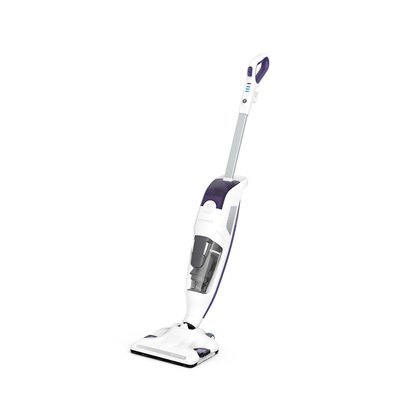 Nettoyeur vapeur clean and steam revolution ROWENTA