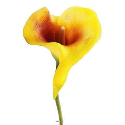 Arum calla fleur artificielle Jaune aubergine ARTIFICIELLES