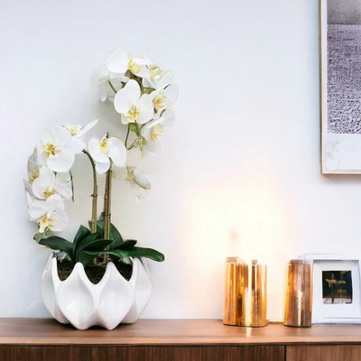 Planta artificial "Orquídeas", BORGHESI BORGHESI