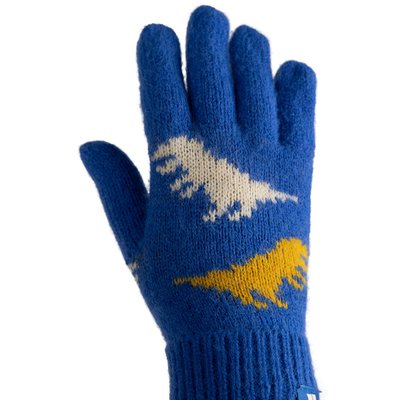 Gants CASPER TRESPASS
